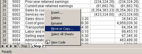 Copy first trial balance in a new file